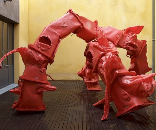 Sans Titre ( Floraison pour Nollopa ) - Anita Molinero - 2017. Crédit photo : Perla Msika.