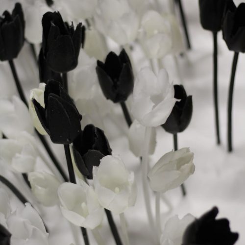 mona-oren-Botrus-tulips-85 x 60 x 65 cm
